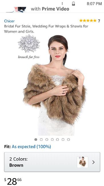 Winter cover-up - 1