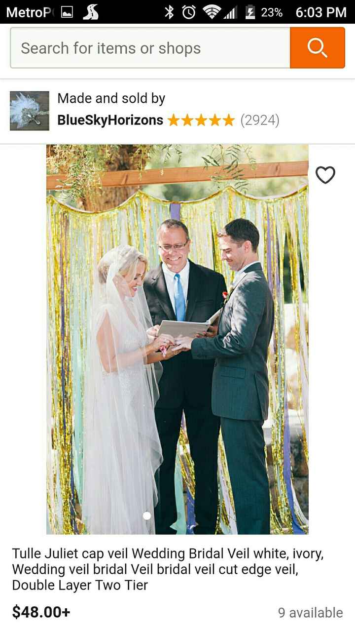 Veil that covers top of head but not face - 1