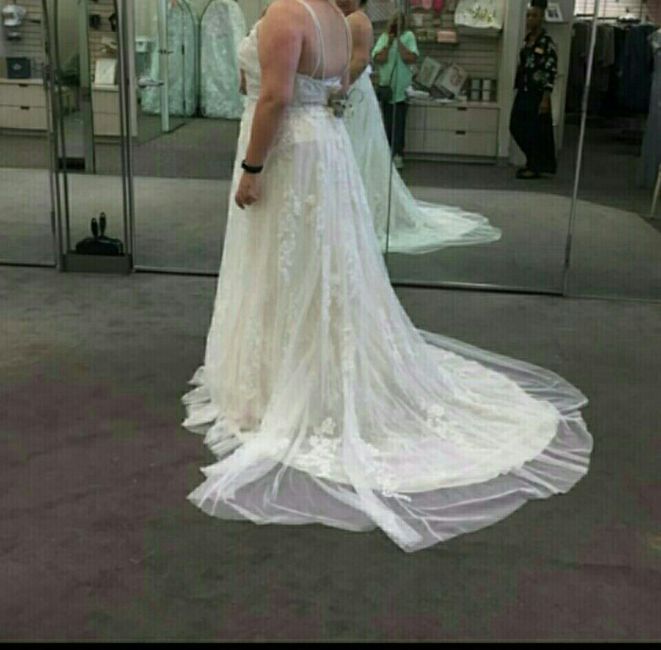 Show me your David's Bridal Dresses 18
