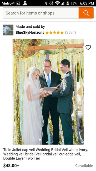 Veil that covers top of head but not face - 1