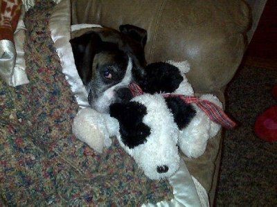NWR: Show off your fur baby!