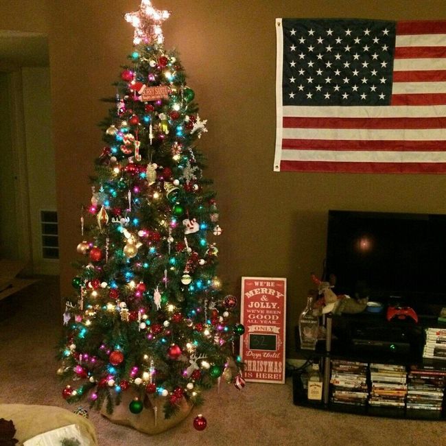 NWR: Show me your Christmas Trees, Hanukkah decor, or any other holiday stuff you put out!!