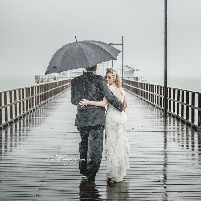 Rainy Day Pics