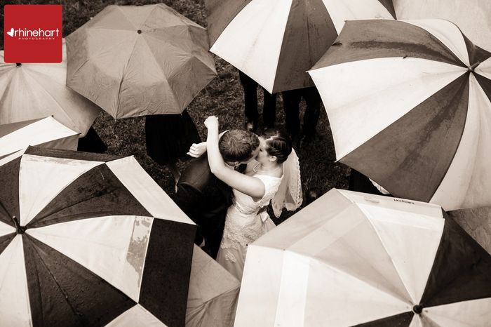 Rainy Day Pics