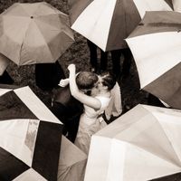 Rainy Day Pics