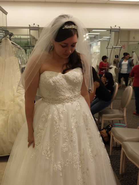 Ordered my wedding dress yesterday!!!  (Pictures!!)