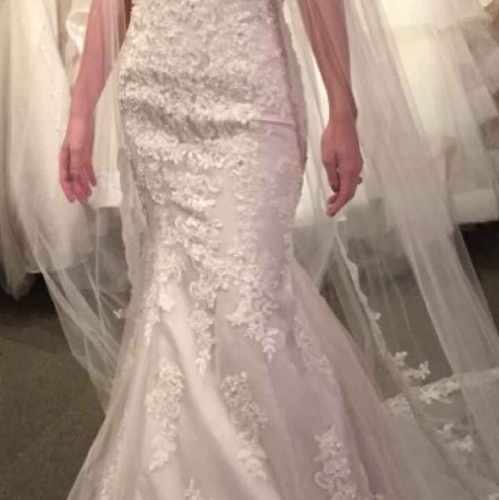 Show me your cathedral length veils - 1