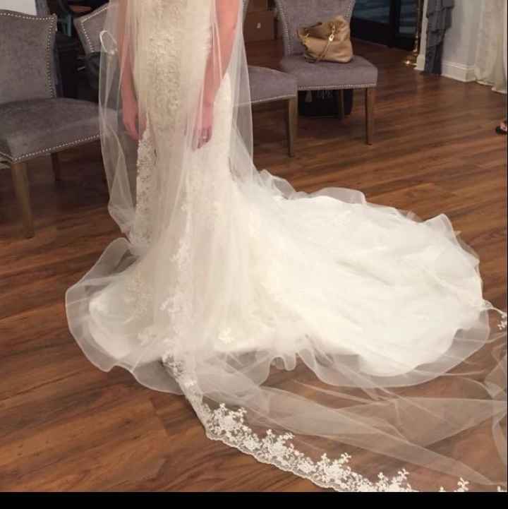 Show me your cathedral length veils - 1