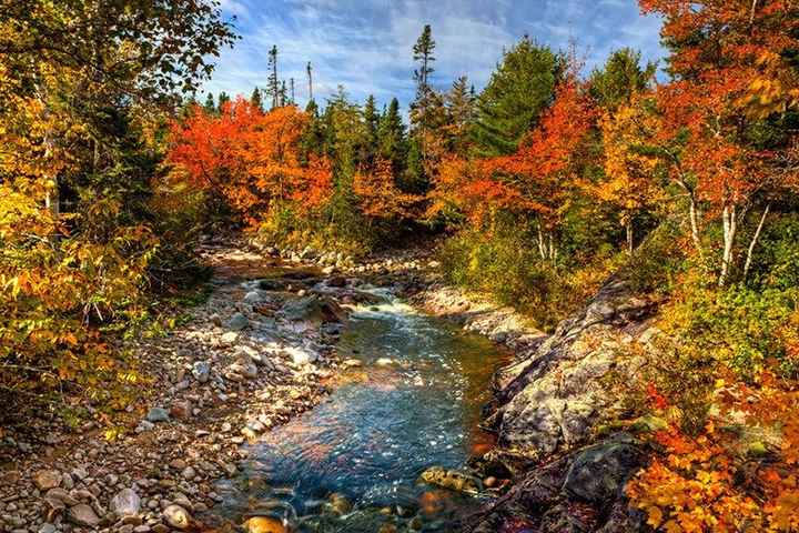 Canada Honeymoon?