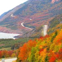 Canada Honeymoon?