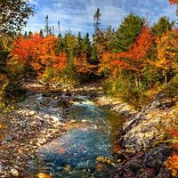 Canada Honeymoon?