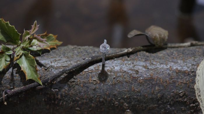 Ring pictures?!