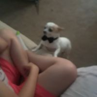 Just need to vent and cry a little