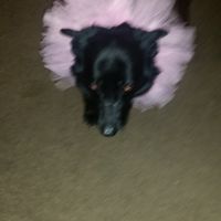 Need some positivity: Sick for the Wedding?