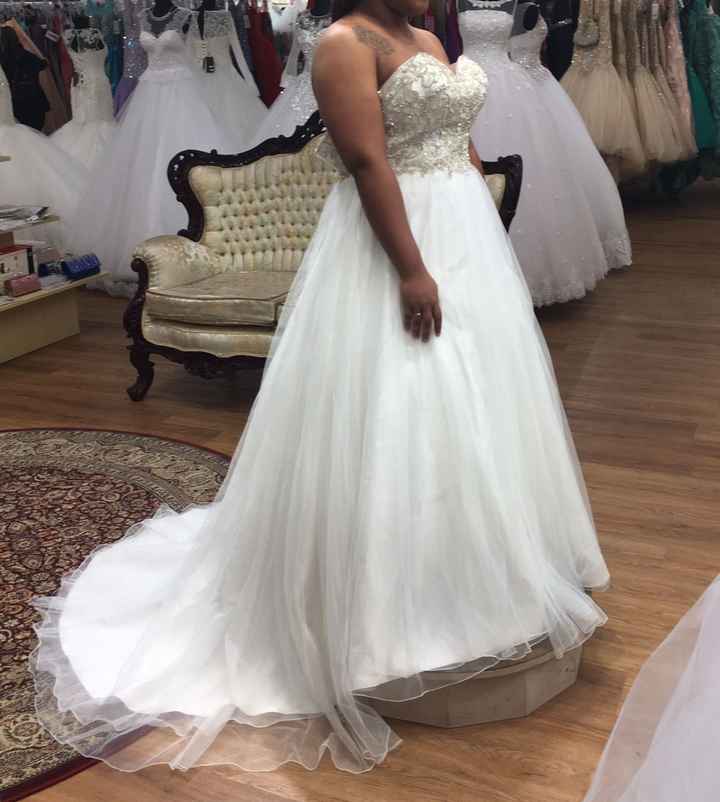 I SAID YES TO THE DRESS