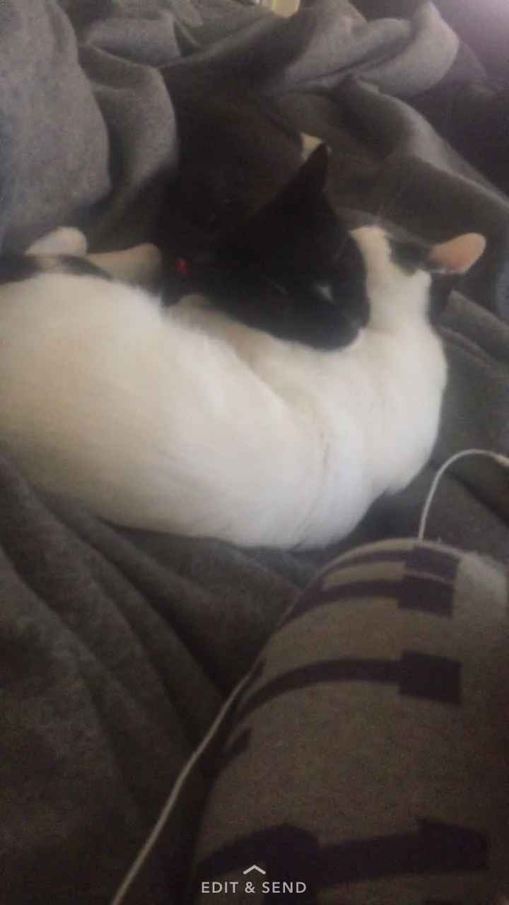 NWR: How could you even consider it?