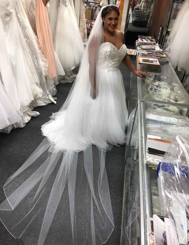 My Dress is Finally Here!