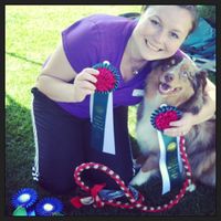 NWR: My puppy is adorable :) Cat memes spinoff