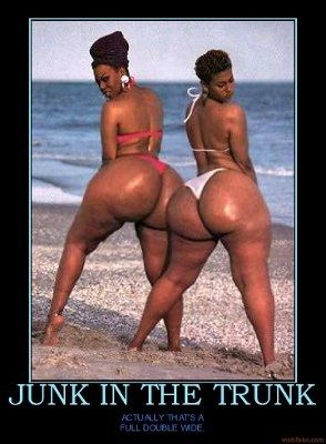 Bikini Body & The Honeymoon ...