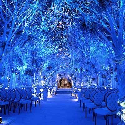 Winter Wonderland ideas.....