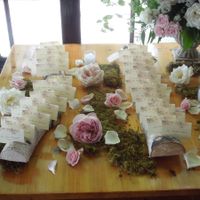 My Wedding Day  (non-pro PIC HEAVY)