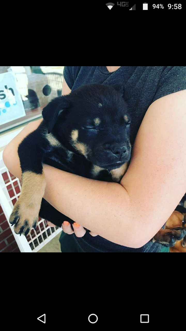 Just need to vent and cry a little