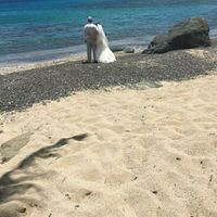 We are married woo hoo