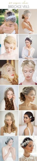 Birdcage veil
