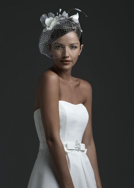 Birdcage veil