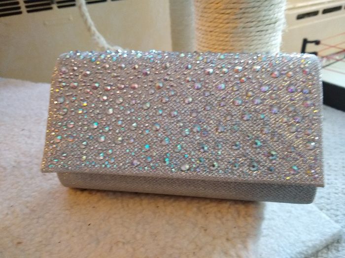 Are you getting a bridal clutch? - 1