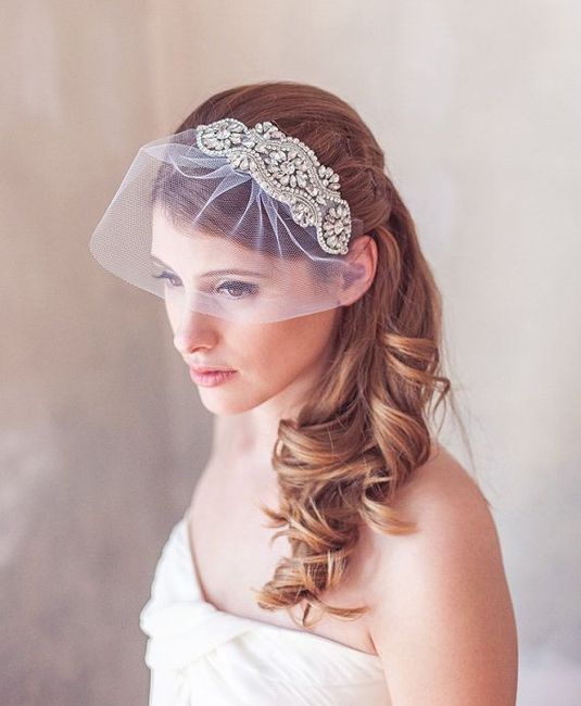 Birdcage veil