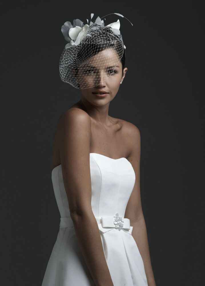 Birdcage veil