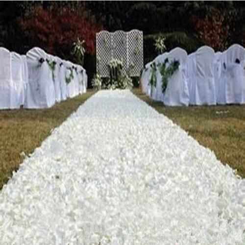 Flower petal aisle - 1