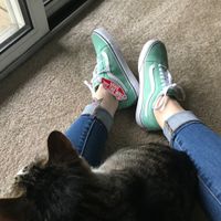 Mint Green Vans