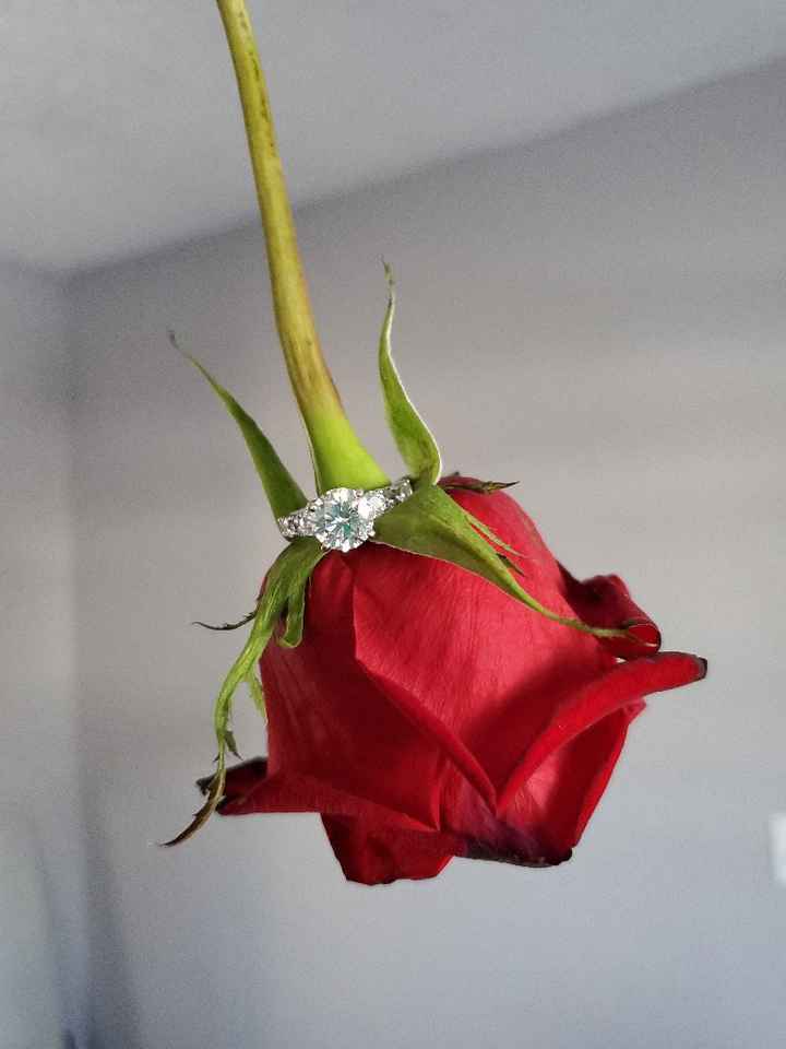 Did you pick your ring or were you completely surprised? - 1