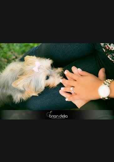 ENGAGEMENT PICTURES!!!!!!!!!!!!!!