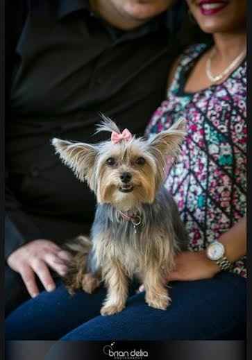 ENGAGEMENT PICTURES!!!!!!!!!!!!!!