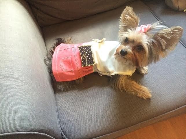 Fur-baby Tuesday!