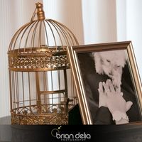 BAM!!!!!! (Picture Heavy)