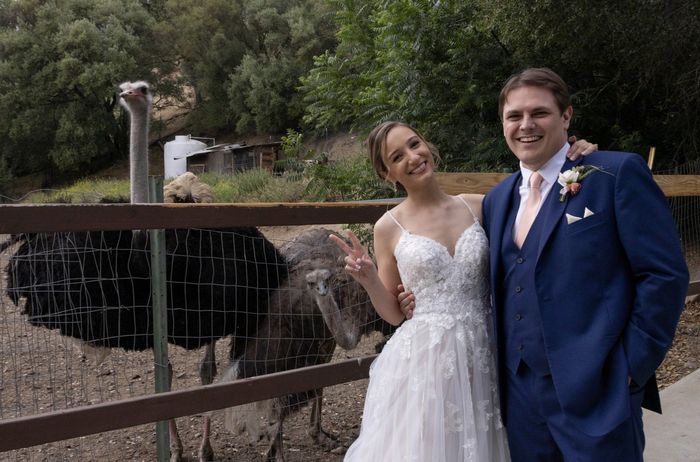 Wedding Photos + Story 8