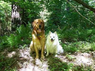 NWR: What kind of dog do you have?