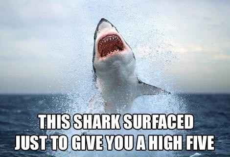 NWR Best Meme Ever:) For all my WW girls!