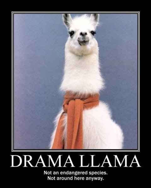 W-W-W-.-G-O-O-G-L-E-.-C-O-M