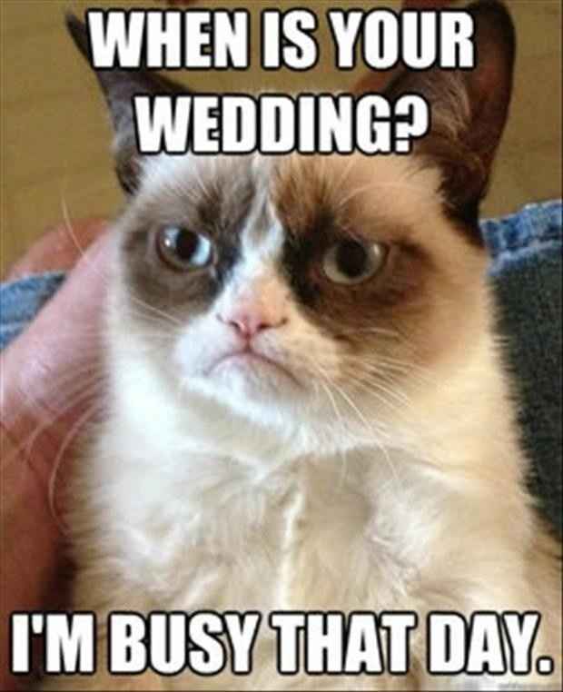 KWR: Your fav wedding memes