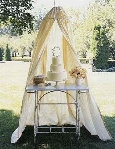 want my cake sans sticks and bugs :)