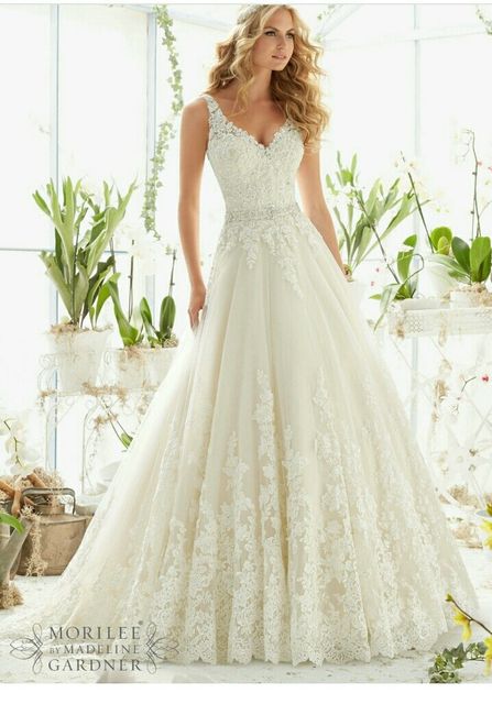 I want to see dresses!