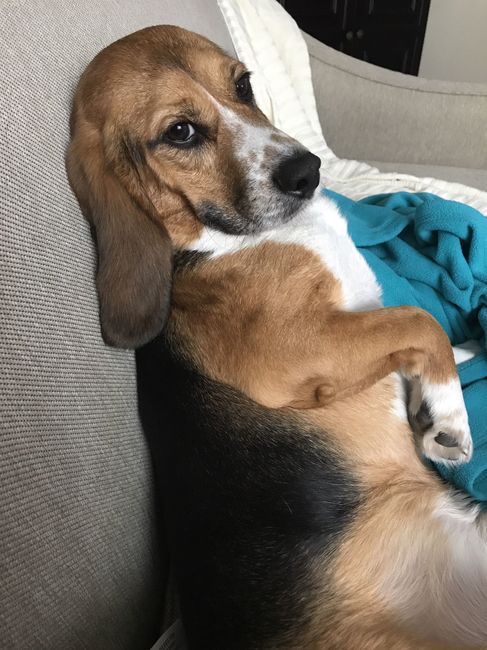 Show me your fur babies!