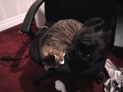 *NWR* Show me your pets/animals! *PICS*