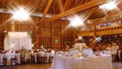 What is your wedding theme?
