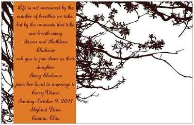 Did you use Vistaprint for your invites??? Pics please